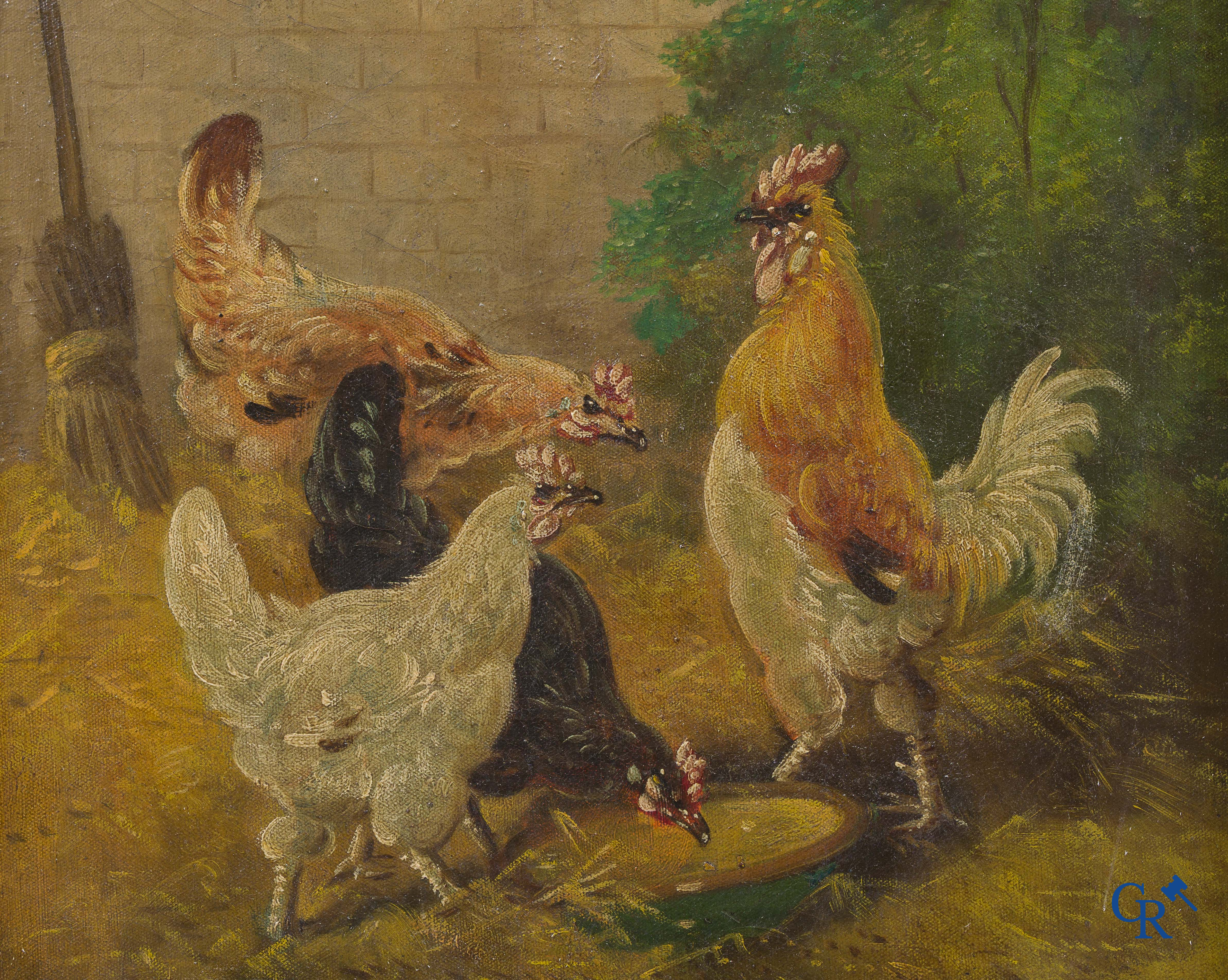 Henry Schouten. Poulets et coq. Huile sur toile. Signé en bas à droite H. Schouten.