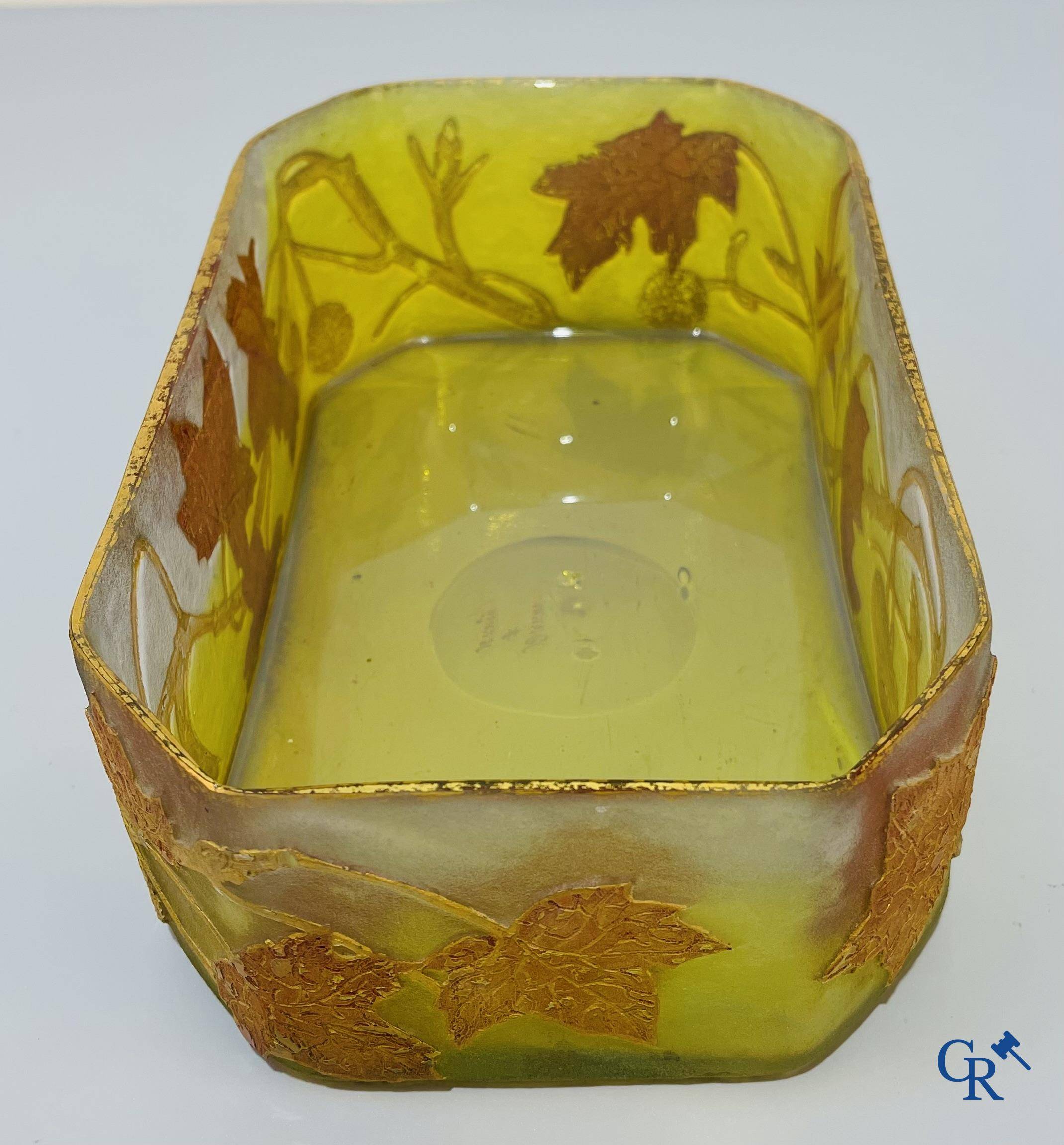 Daum Nancy. Large jardiniere in cameo glass with a decor of chestnut branches on a yellow relief background.