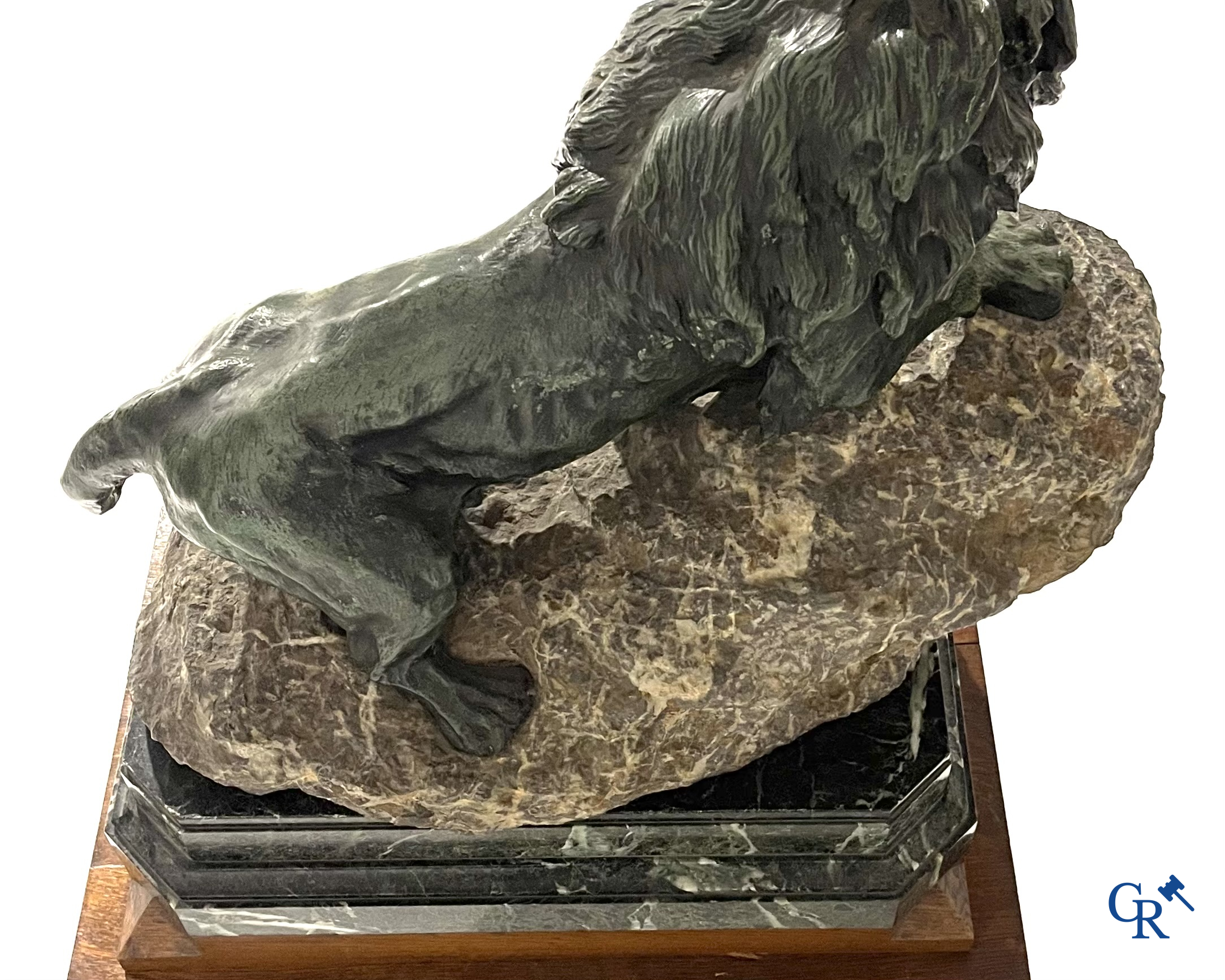 Thomas François Cartier (1879-1936) "Roaring lion" Important statue in bronze and stone on a wooden base.