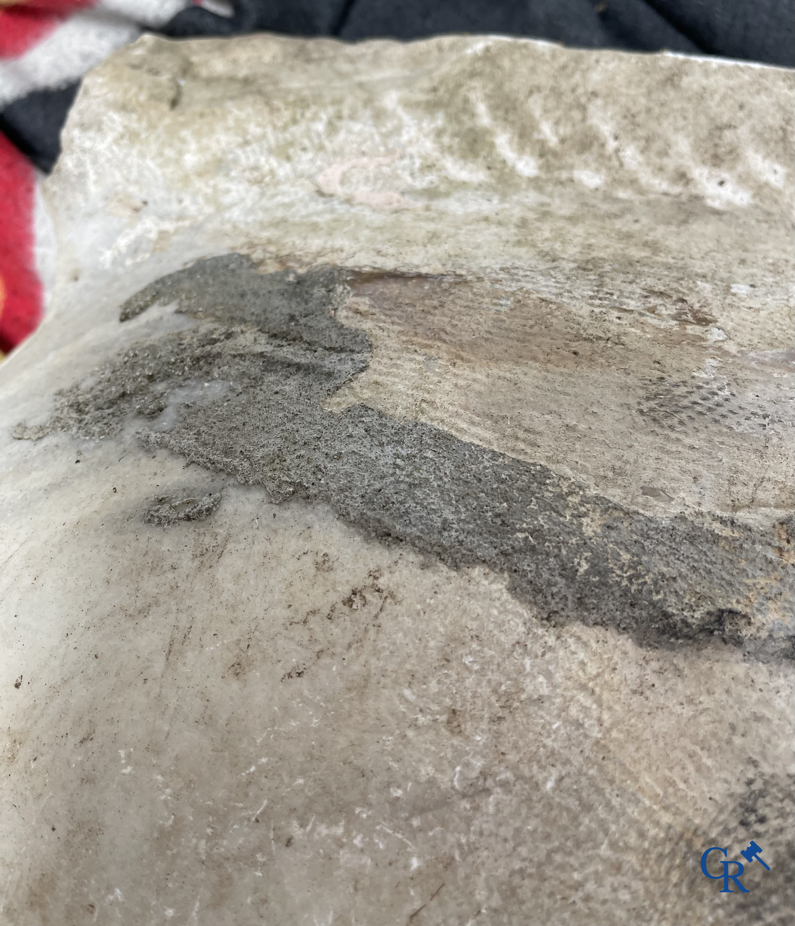 Uitzonderlijk groot marmeren wijwatervat of doopvont. 18e eeuw.