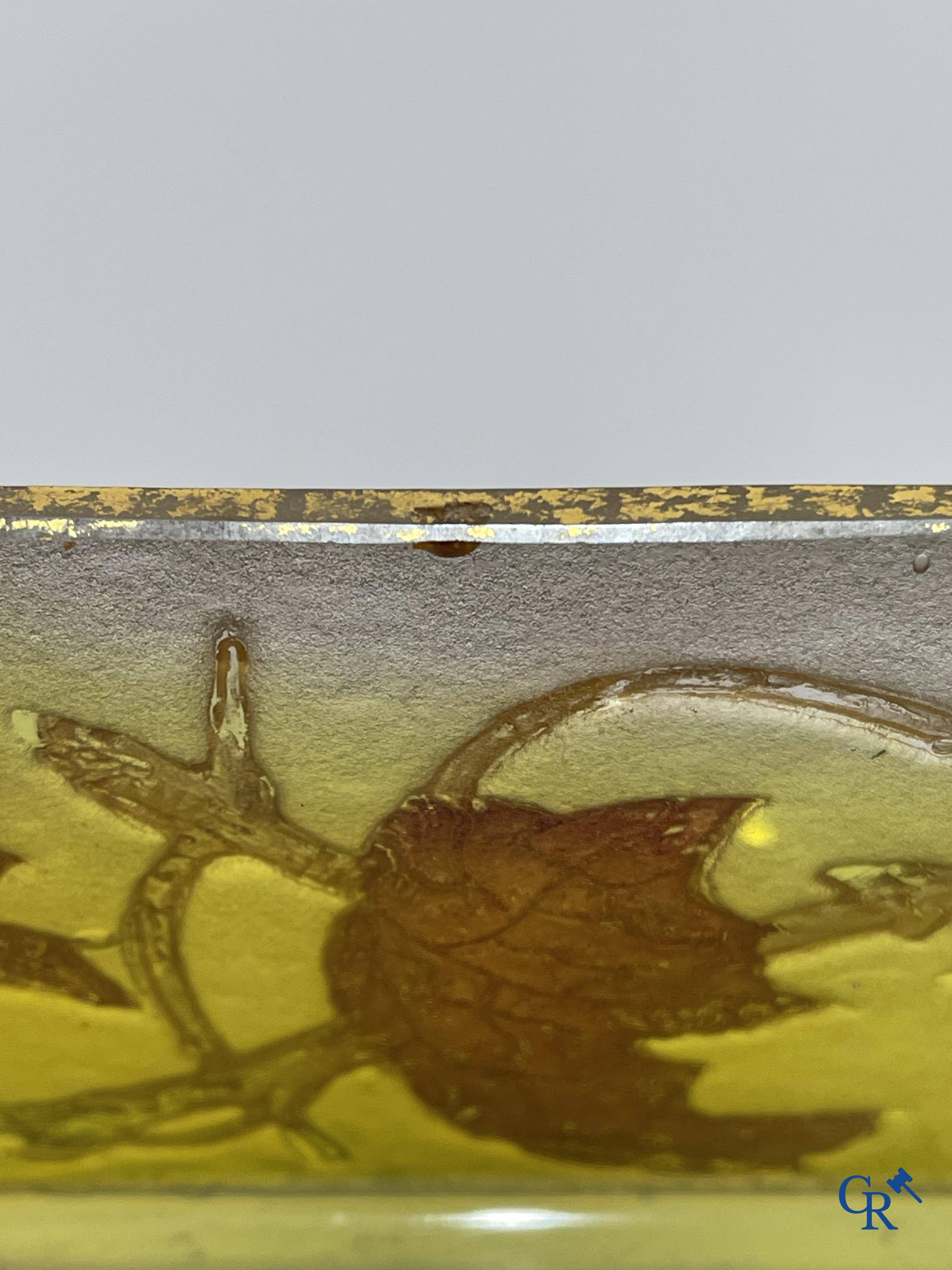 Daum Nancy. Large jardiniere in cameo glass with a decor of chestnut branches on a yellow relief background.