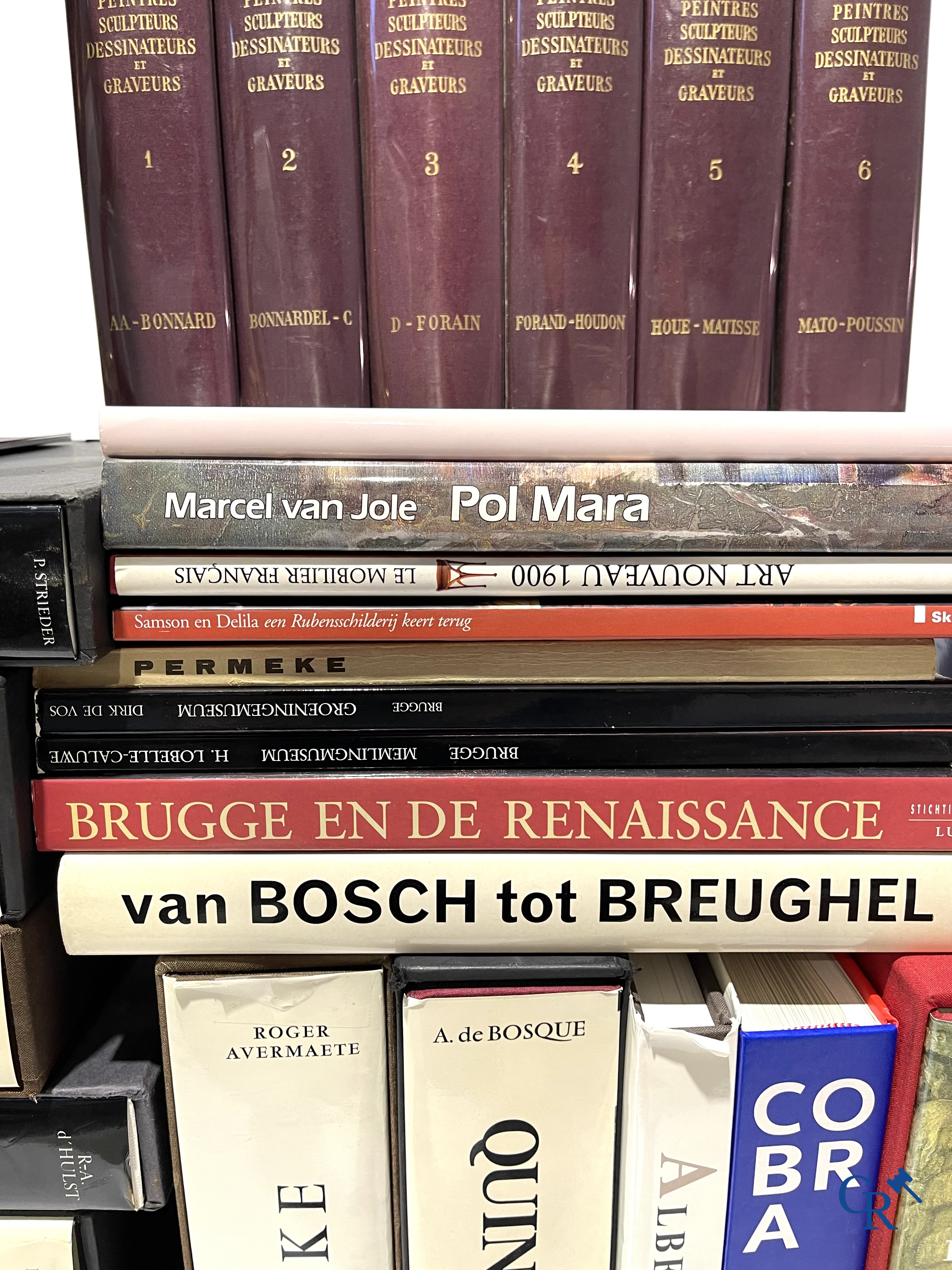 Groot lot kunstboeken, het Bénézit-woordenboek en een decoratieve moderne wereldbol.