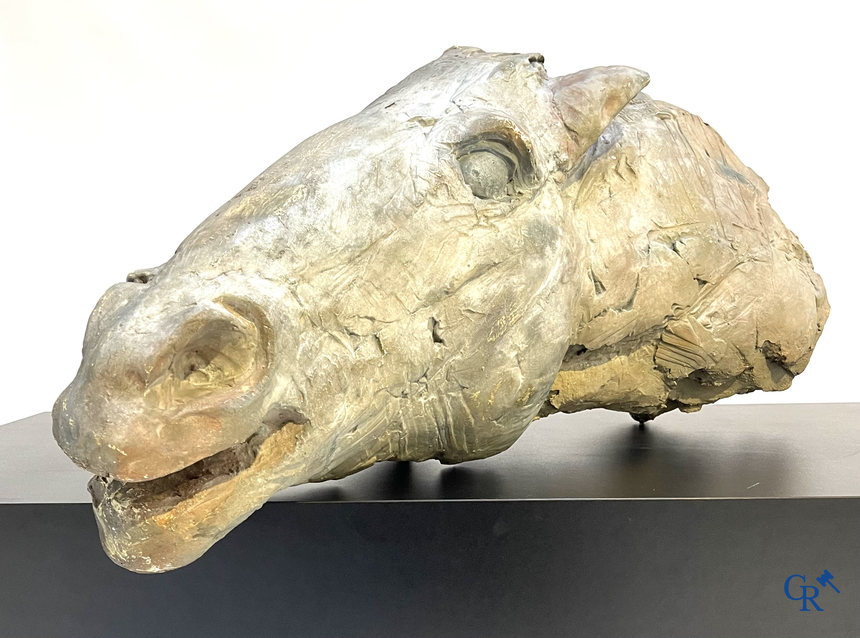 A large esquisse in plaster of a horse's head. Not signed.