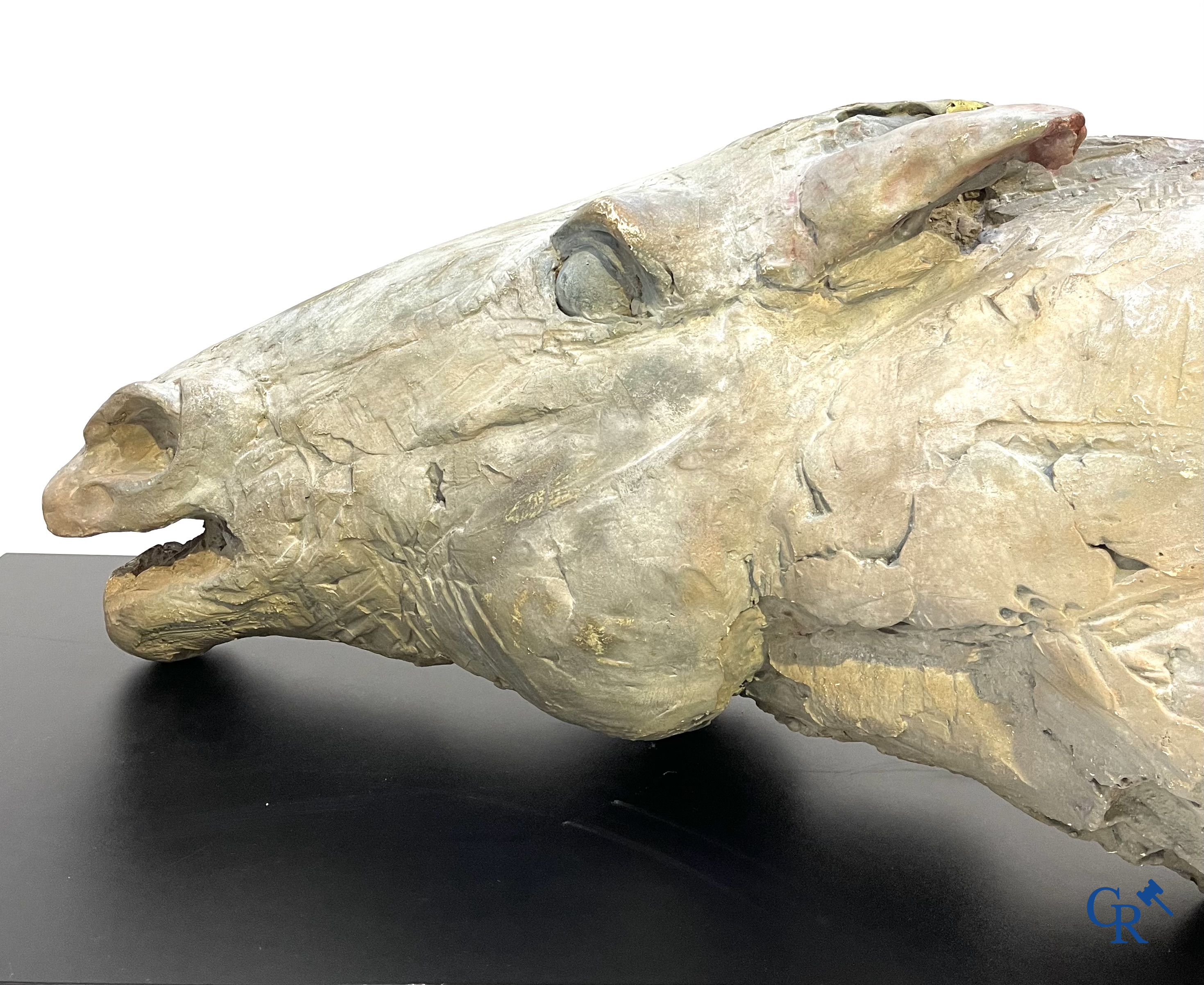A large esquisse in plaster of a horse's head. Not signed.