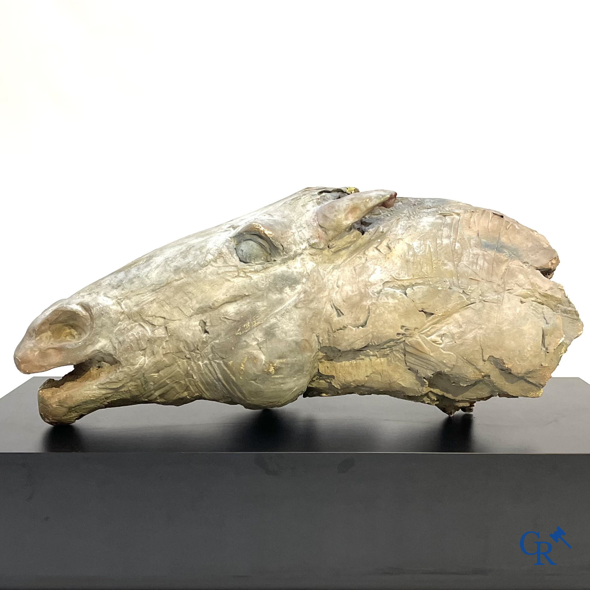 A large esquisse in plaster of a horse's head. Not signed.