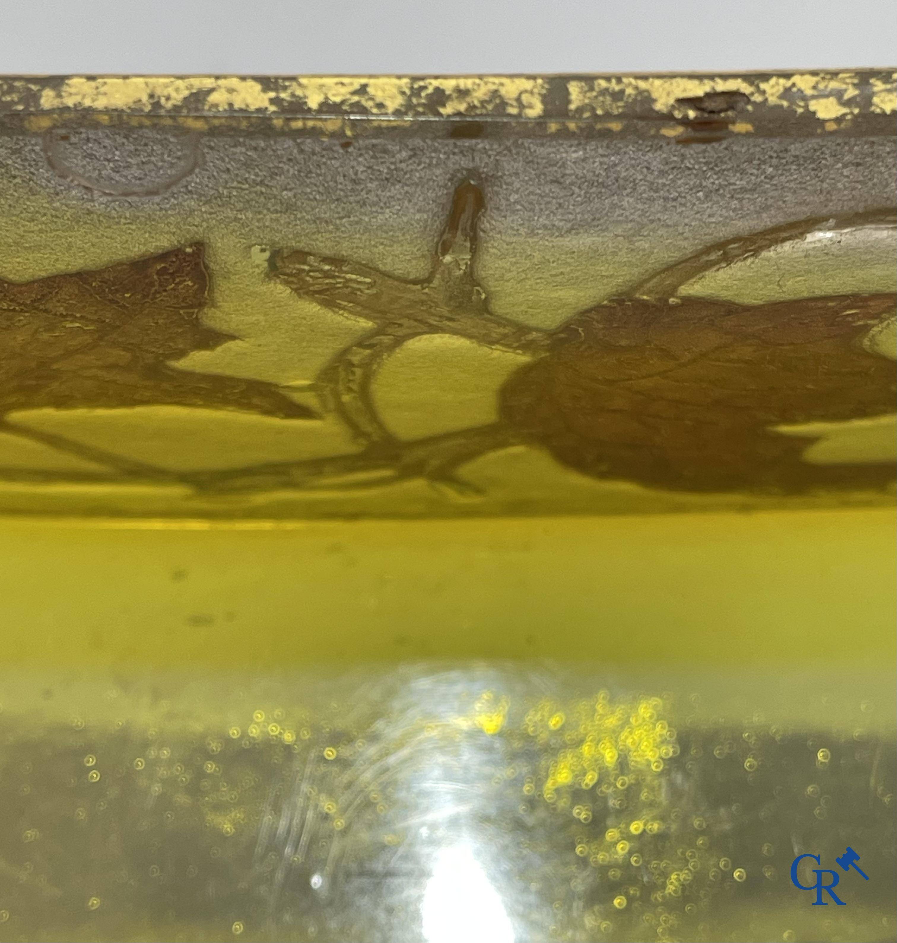 Daum Nancy. Large jardiniere in cameo glass with a decor of chestnut branches on a yellow relief background.