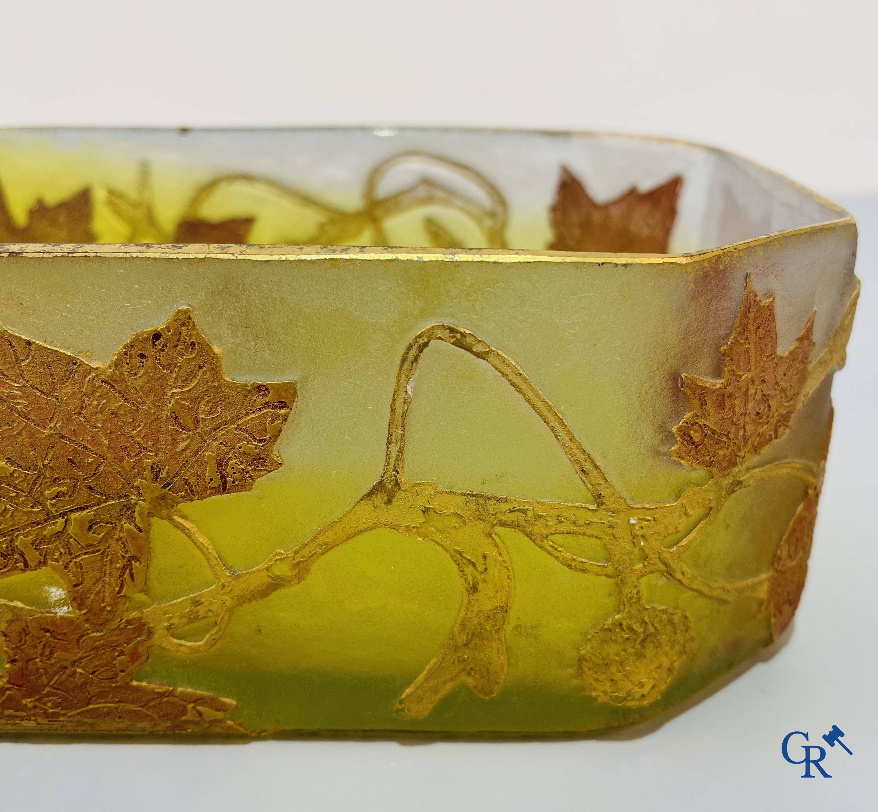 Daum Nancy. Large jardiniere in cameo glass with a decor of chestnut branches on a yellow relief background.