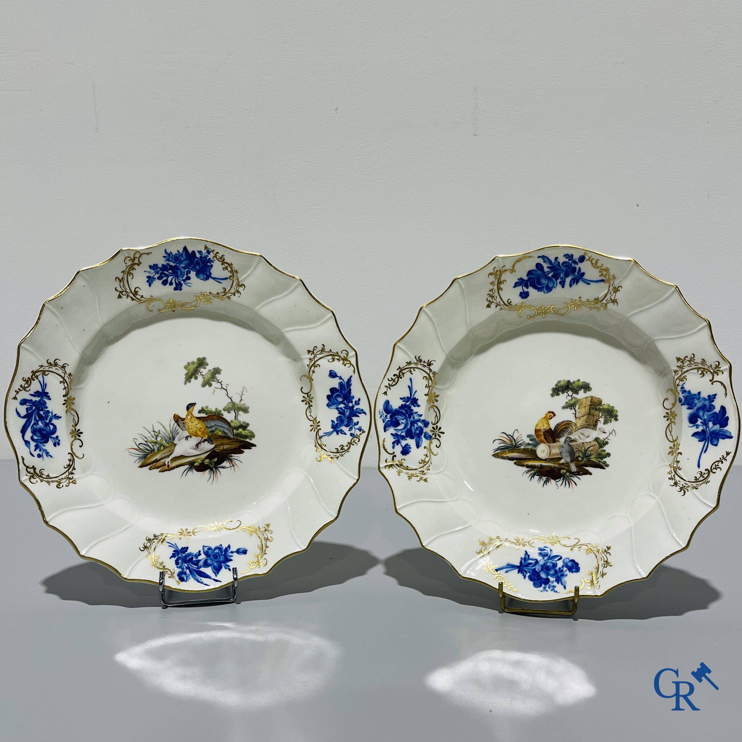 European porcelain, Tournai. 2 plates with a polychrome decoration of birds and gold decoration in The Hague. 18th century.