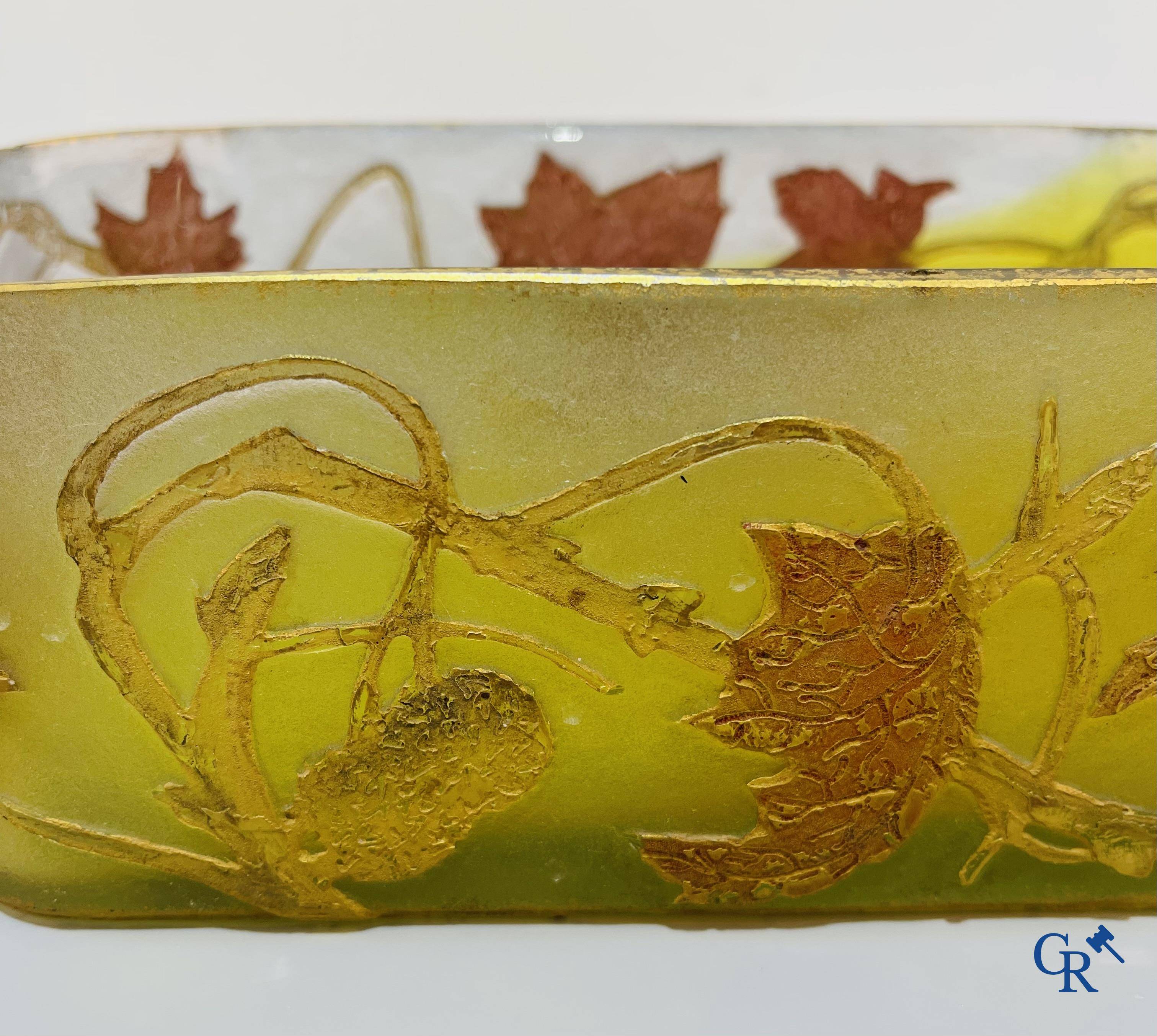 Daum Nancy. Large jardiniere in cameo glass with a decor of chestnut branches on a yellow relief background.