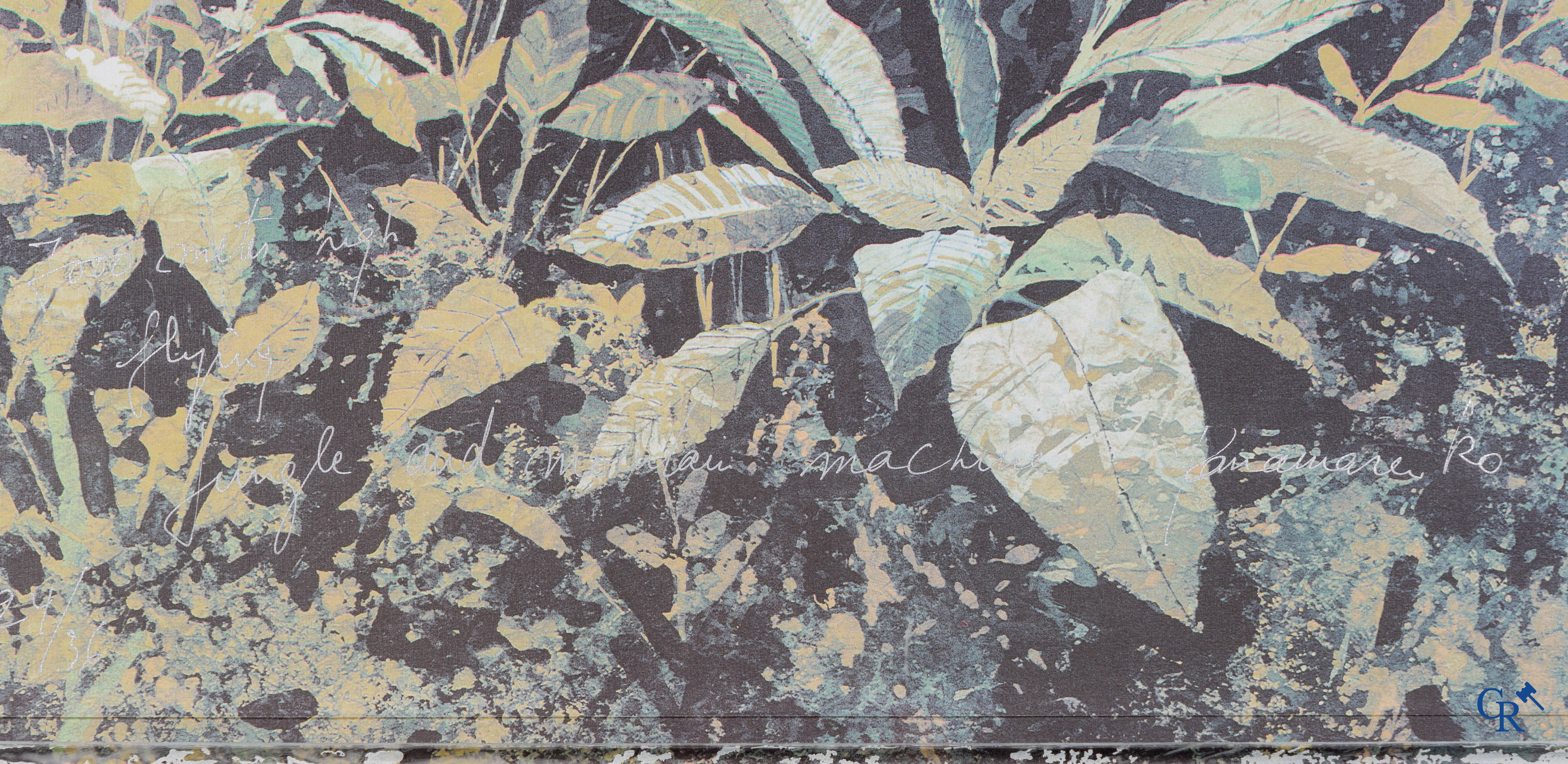 Panamarenko (*)(1940-2019) The 7000-meter High Flying Jungle and Mountain Machine (1994)