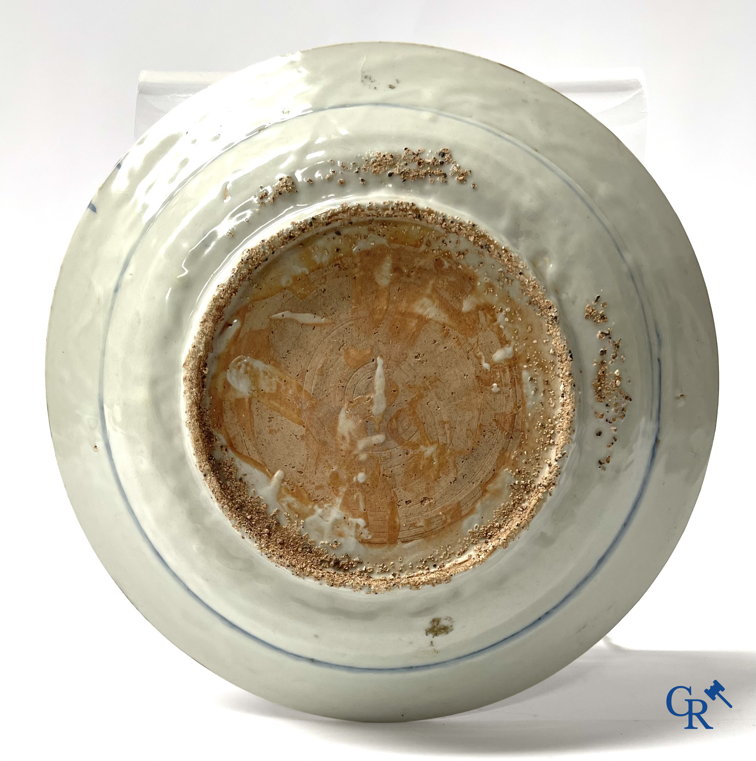 Asian Art, A pair of large Swatow Chinese blue and white dishes decorated with a peacock. Ming Dynasty. Late XVI century.