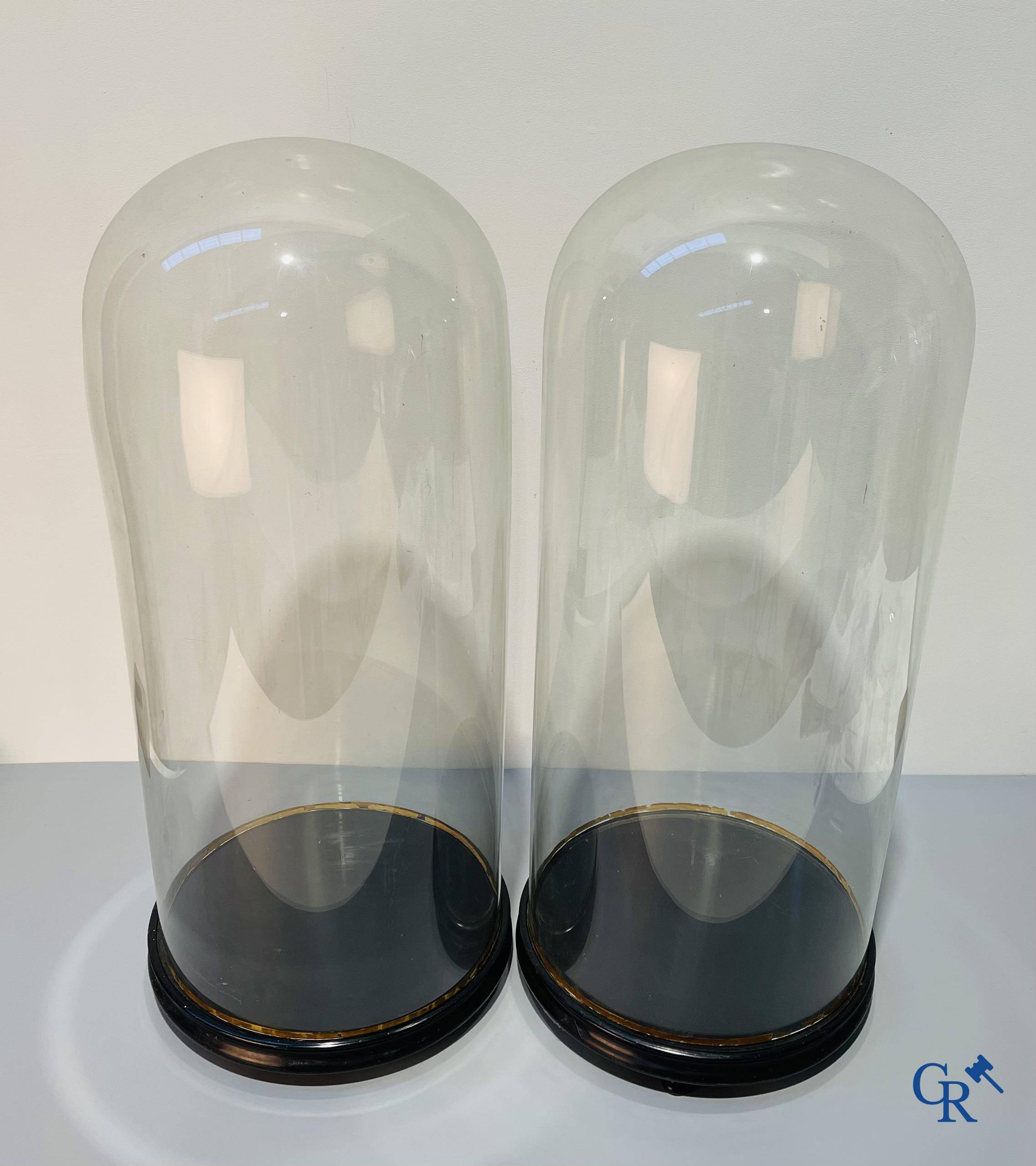 Een paar uitzonderlijk paar grote glazen stolpen. Eind 19e eeuw.