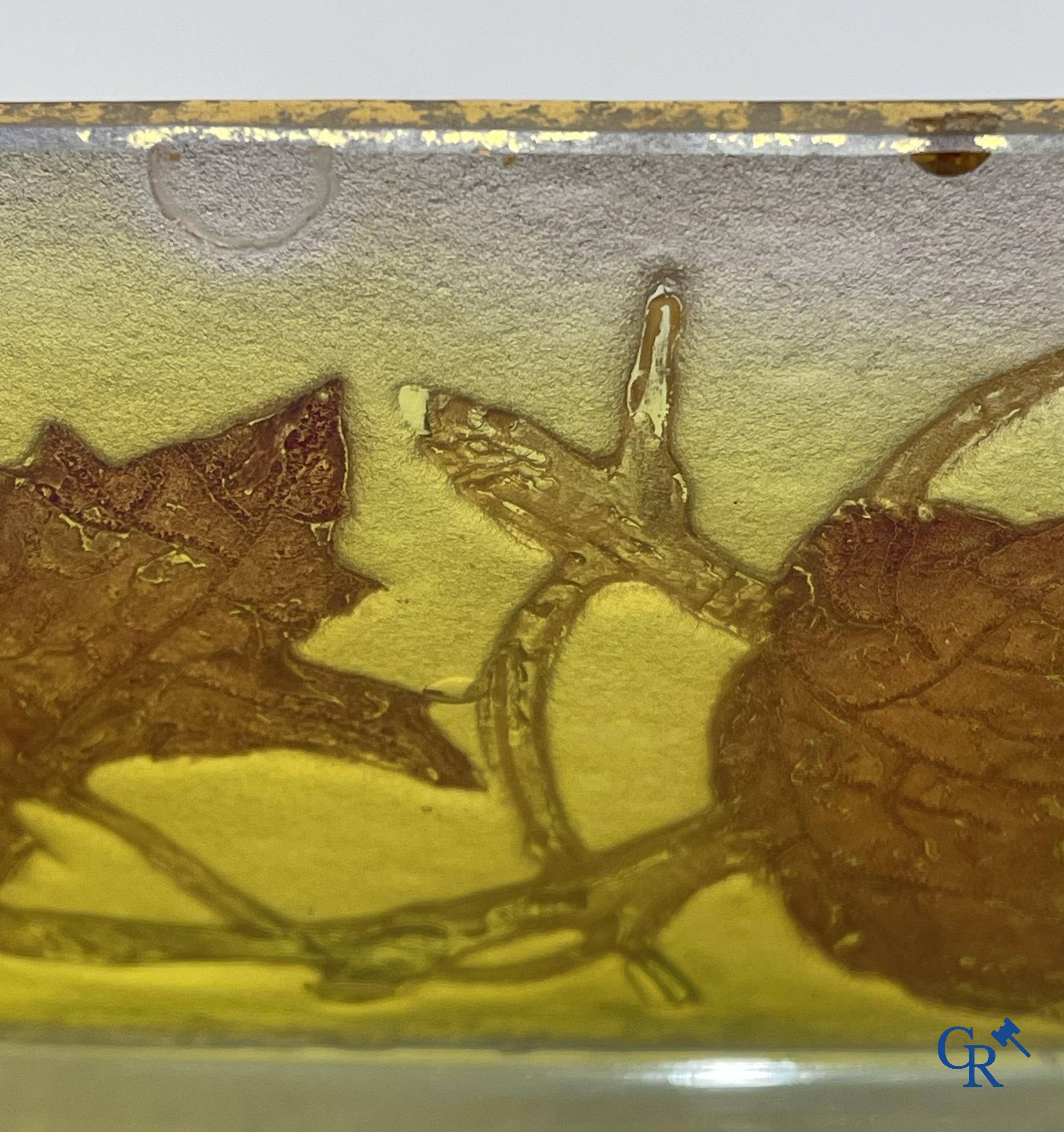 Daum Nancy. Large jardiniere in cameo glass with a decor of chestnut branches on a yellow relief background.